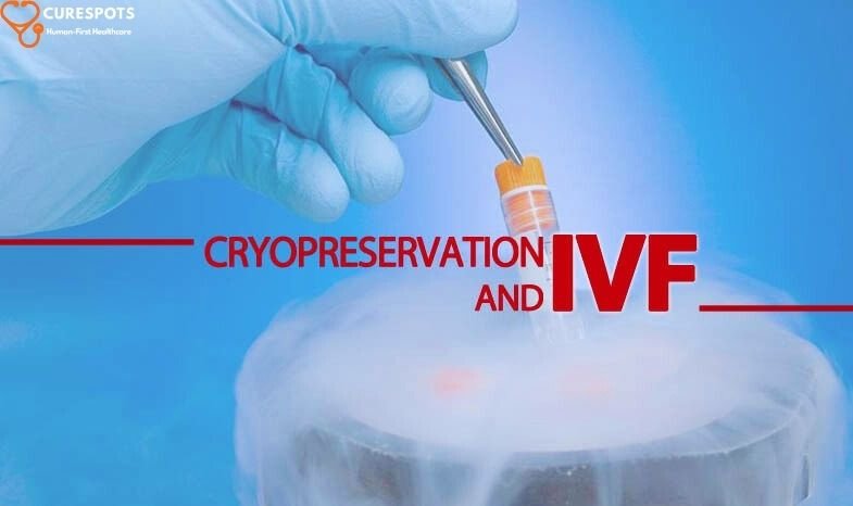 Cryopreservation
