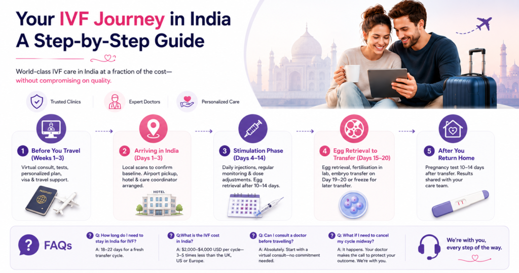 IVF Timeline for International Patients