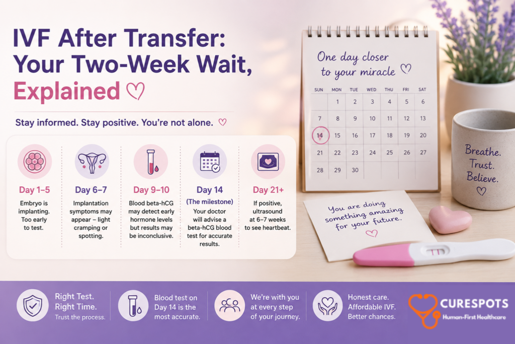 IVF pregnancy timeline